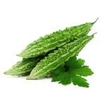 Bitter Ground/karela