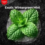 Colgate Charcoal Clean Black Gel Toothpaste, 120g