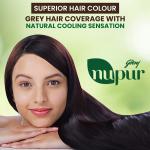 Godrej Nupur 100% Pure Henna Powder for Hair Colour (Mehandi) | for Hair, Hands & Feet 150g