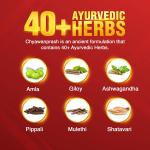 DABUR Chyawanprash | 3X Immunity Action | With 40+ Ayurvedic Herbs | Helps Build Strength & Stamina | Builds Overall Health, 1 count, 500 grams