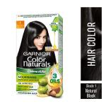 Garnier Color Naturals 1 Natural Black 60g