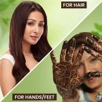Godrej Nupur 100% Pure Henna Powder for Hair Colour (Mehandi) | for Hair, Hands & Feet 150g